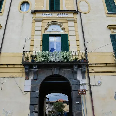 Casa Lucy